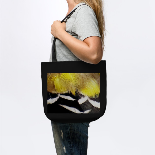 Feathers of a American Goldfinch by BirdsnStuff