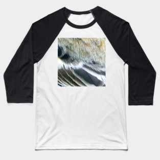 Feathers of a Baltimore Oriole Baseball T-Shirt