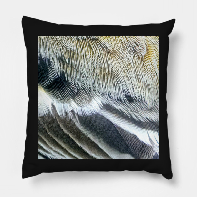 Feathers of a Baltimore Oriole Pillow by BirdsnStuff