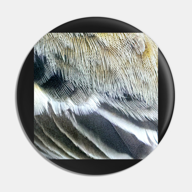 Feathers of a Baltimore Oriole Pin by BirdsnStuff