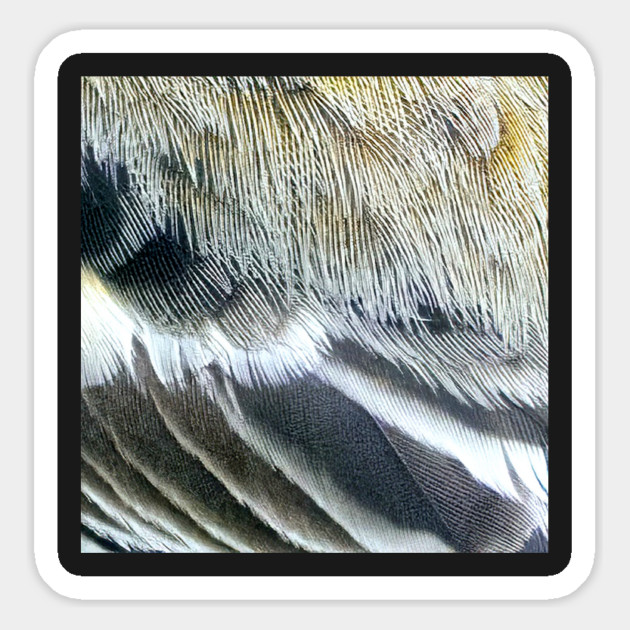 Feathers of a Baltimore Oriole Magnet by BirdsnStuff