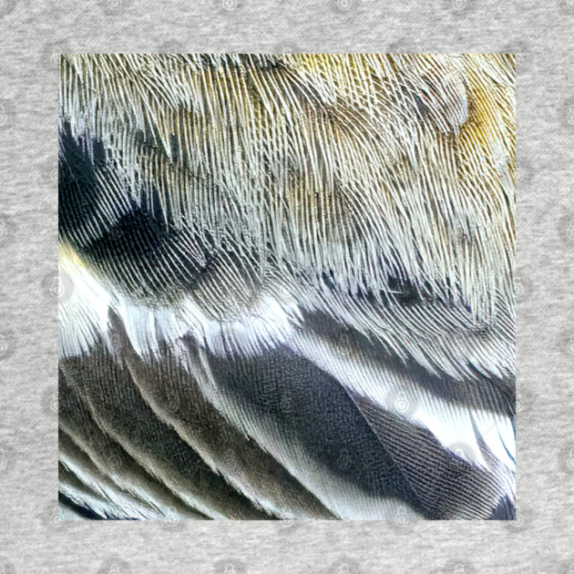 Feathers of a Baltimore Oriole by BirdsnStuff