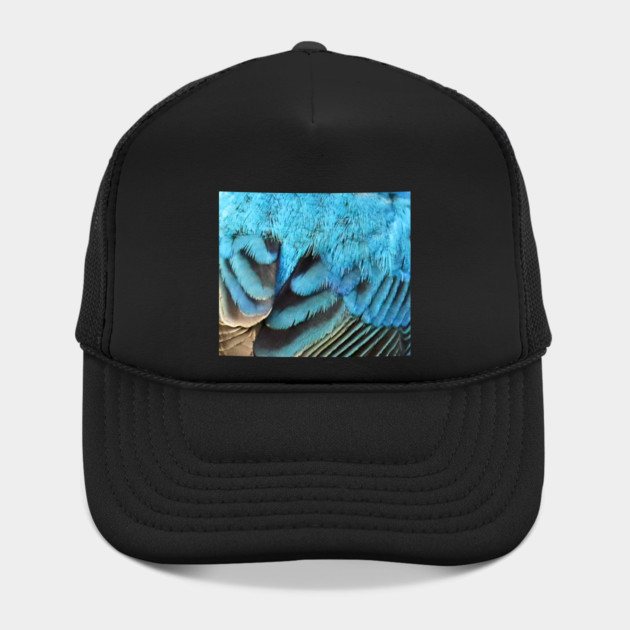 Feathers of a Indigo Bunting by BirdsnStuff