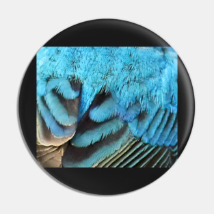 Feathers of a Indigo Bunting Pin