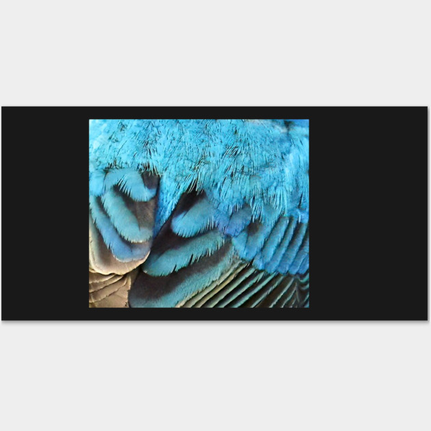Feathers of a Indigo Bunting Wall Art by BirdsnStuff