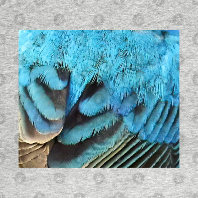 Feathers of a Indigo Bunting by BirdsnStuff