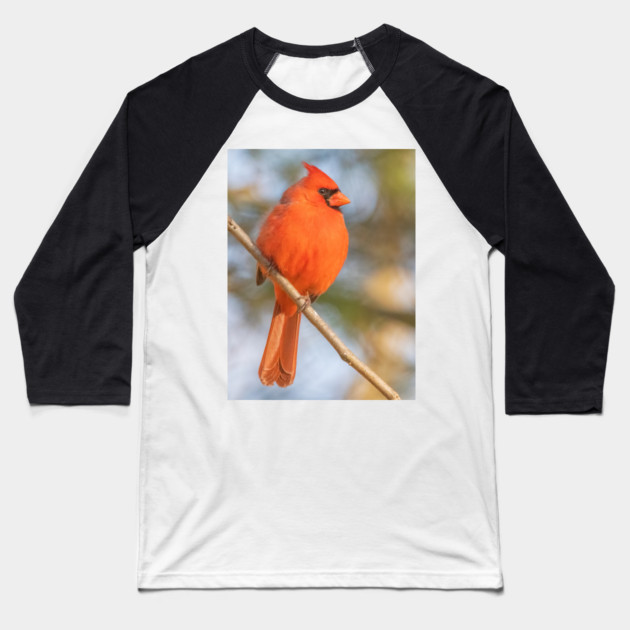 Northern Cardinal on a spring day Baseball T-Shirt by BirdsnStuff