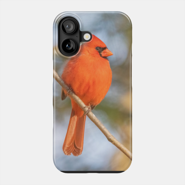 Northern Cardinal on a spring day Phone Case by BirdsnStuff