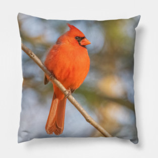 Northern Cardinal on a spring day Pillow