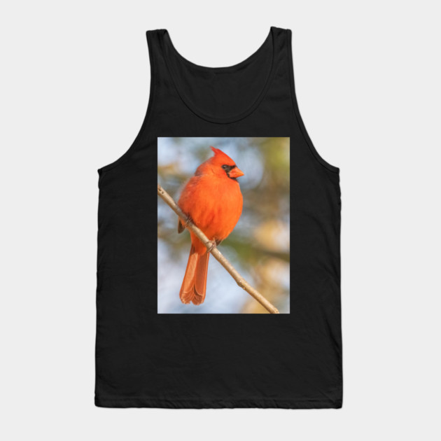 Northern Cardinal on a spring day Tank Top by BirdsnStuff
