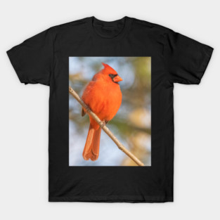 Northern Cardinal on a spring day T-Shirt