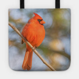 Northern Cardinal on a spring day Tote