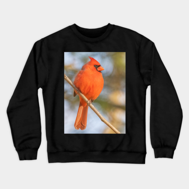 Northern Cardinal on a spring day Crewneck Sweatshirt by BirdsnStuff