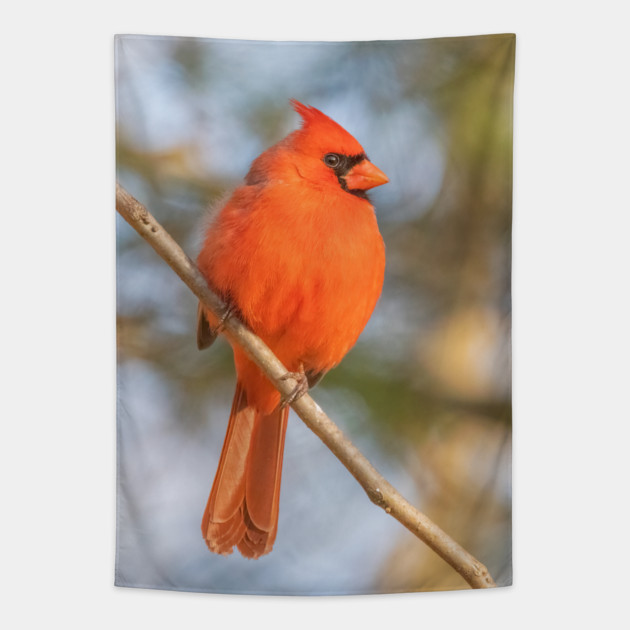 Northern Cardinal on a spring day Tapestry by BirdsnStuff