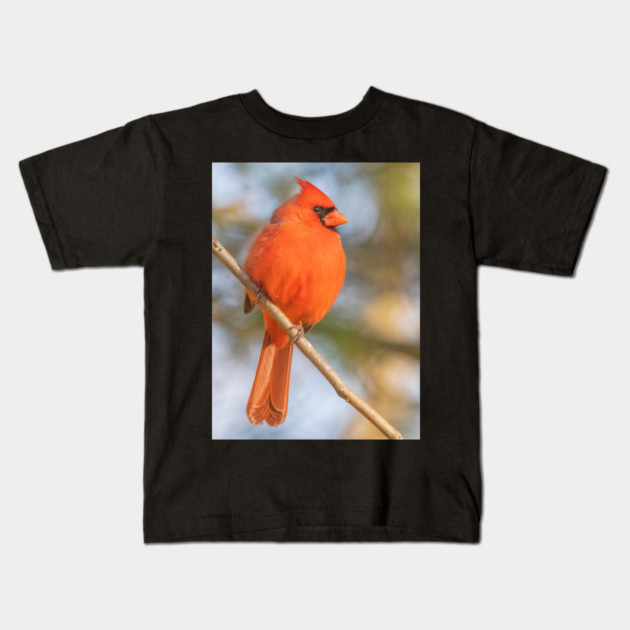 Northern Cardinal on a spring day Kids T-Shirt by BirdsnStuff