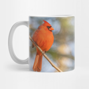 Northern Cardinal on a spring day Mug