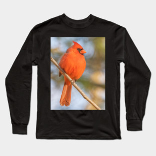 Northern Cardinal on a spring day Long Sleeve T-Shirt