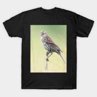 Beautiful female Red Winged Blackbird in a field T-Shirt