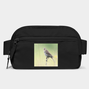 Beautiful female Red Winged Blackbird in a field Bag