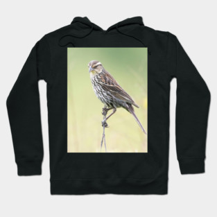 Beautiful female Red Winged Blackbird in a field Hoodie