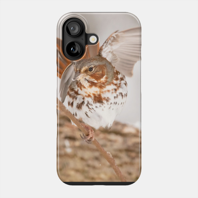 Fox Sparrow with tail feathers fanned out Phone Case by BirdsnStuff