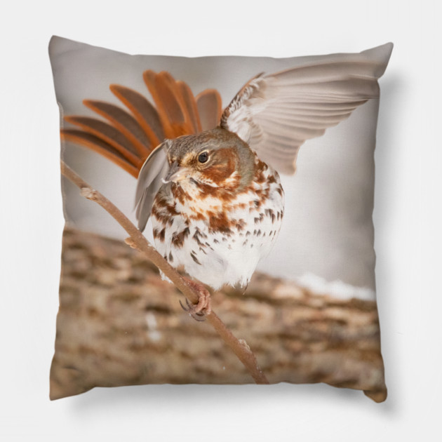 Fox Sparrow with tail feathers fanned out Pillow by BirdsnStuff