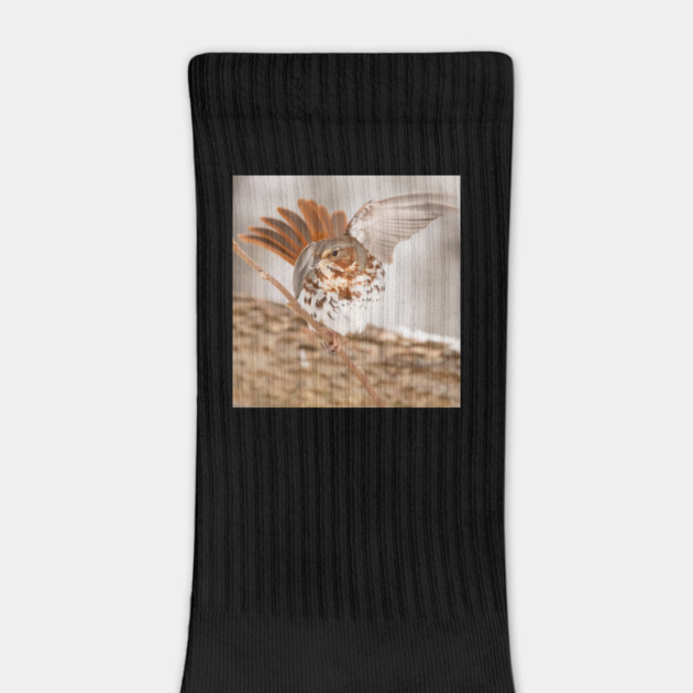 Fox Sparrow with tail feathers fanned out by BirdsnStuff