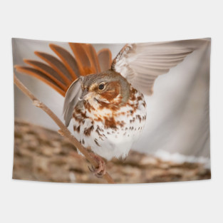 Fox Sparrow with tail feathers fanned out Tapestry