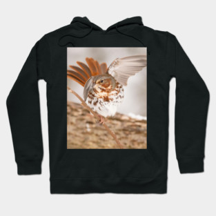Fox Sparrow with tail feathers fanned out Hoodie