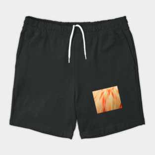 Flamingo Feathers Shorts
