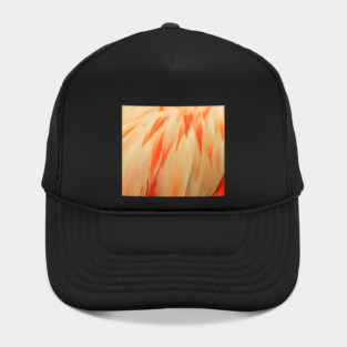 Flamingo Feathers Hat