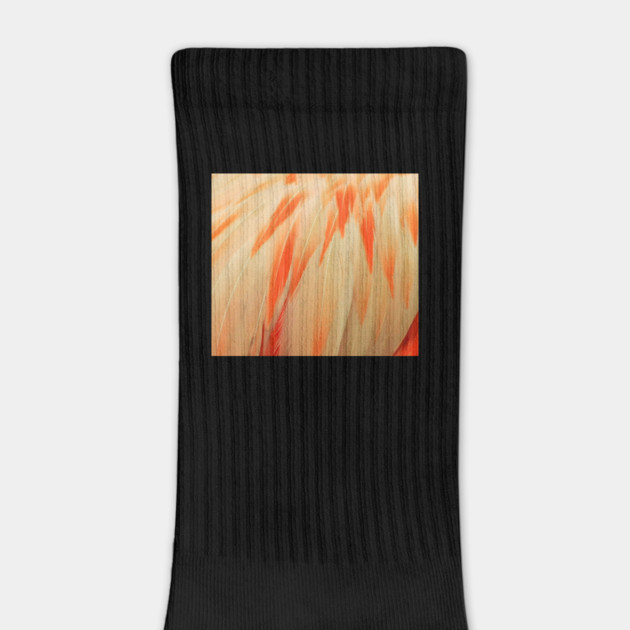 Flamingo Feathers by BirdsnStuff