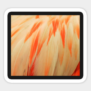 Flamingo Feathers Magnet