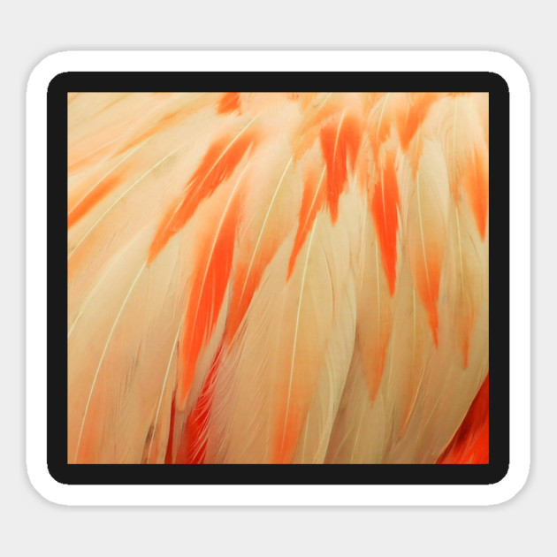 Flamingo Feathers Magnet by BirdsnStuff