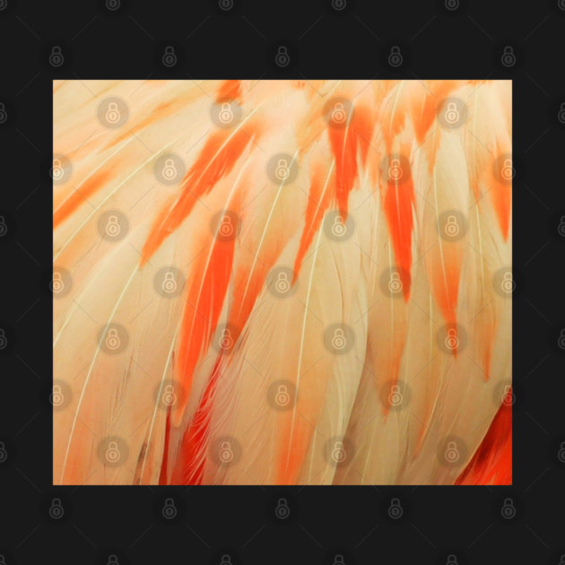 Flamingo Feathers by BirdsnStuff