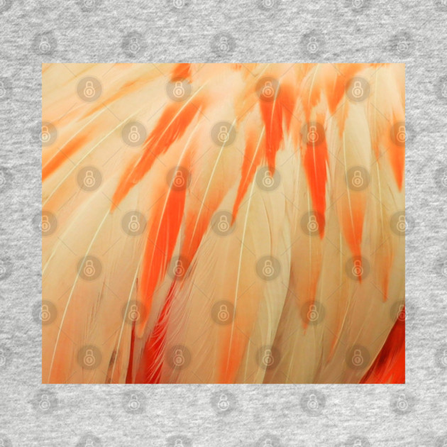 Flamingo Feathers by BirdsnStuff