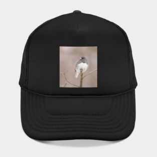 Fluffy Dark Eyed Junco with brown/tan blurred background Hat