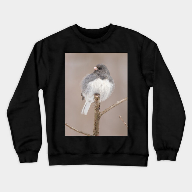 Fluffy Dark Eyed Junco with brown/tan blurred background Crewneck Sweatshirt by BirdsnStuff