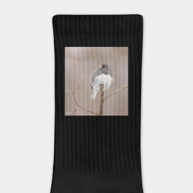 Fluffy Dark Eyed Junco with brown/tan blurred background by BirdsnStuff