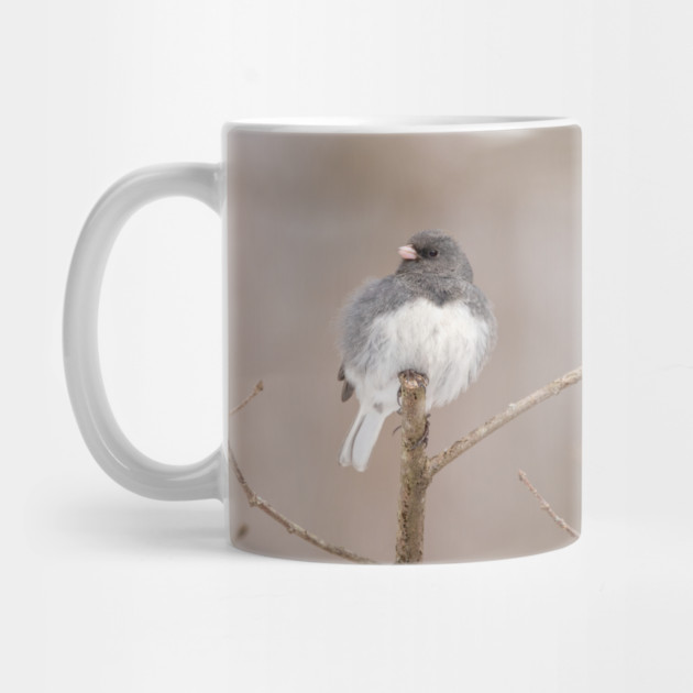 Fluffy Dark Eyed Junco with brown/tan blurred background by BirdsnStuff