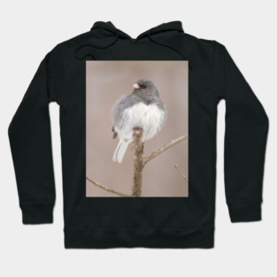 Fluffy Dark Eyed Junco with brown/tan blurred background Hoodie