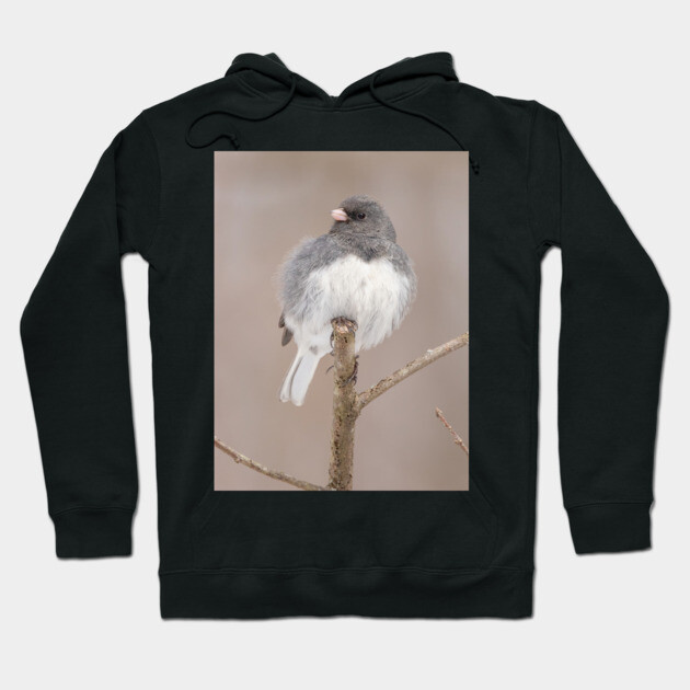 Fluffy Dark Eyed Junco with brown/tan blurred background Hoodie by BirdsnStuff