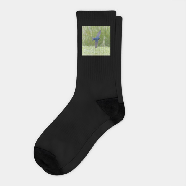 Barn Swallow in Flight Socks by BirdsnStuff