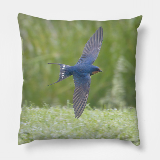 Barn Swallow in Flight Pillow by BirdsnStuff