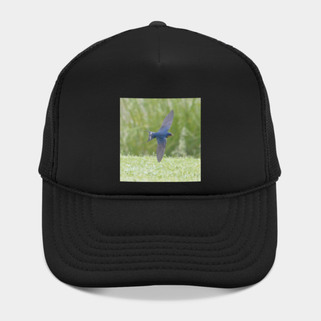 Barn Swallow in Flight by BirdsnStuff