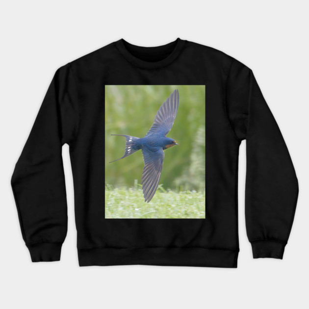 Barn Swallow in Flight Crewneck Sweatshirt by BirdsnStuff