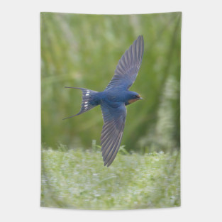 Barn Swallow in Flight Tapestry