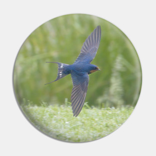 Barn Swallow in Flight Pin