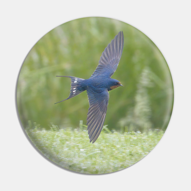 Barn Swallow in Flight Pin by BirdsnStuff