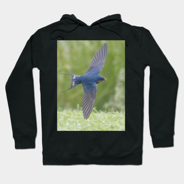 Barn Swallow in Flight Hoodie by BirdsnStuff